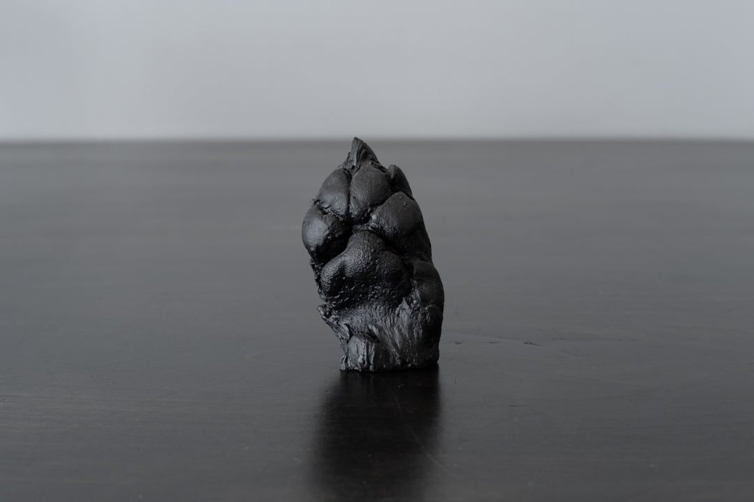 Plaster Paw Casting Service