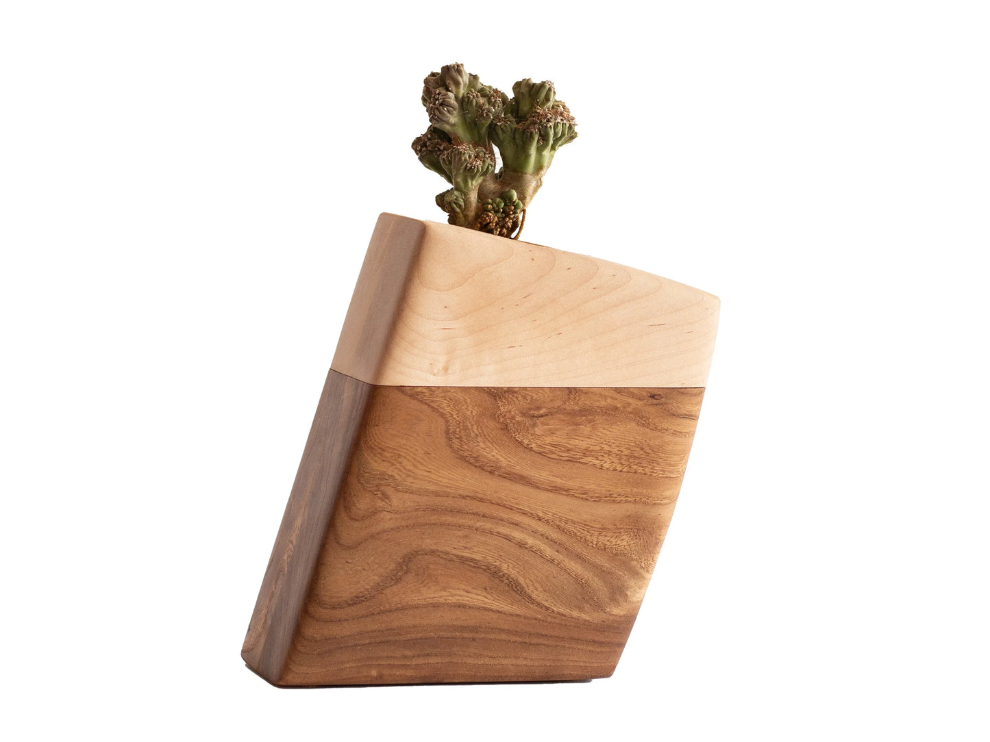 Planturns by Boyce Studio