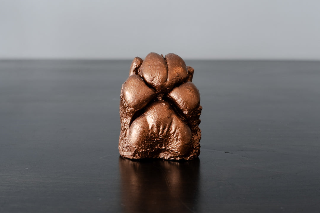 Plaster Paw Casting Service
