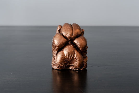 Plaster Paw Casting Service