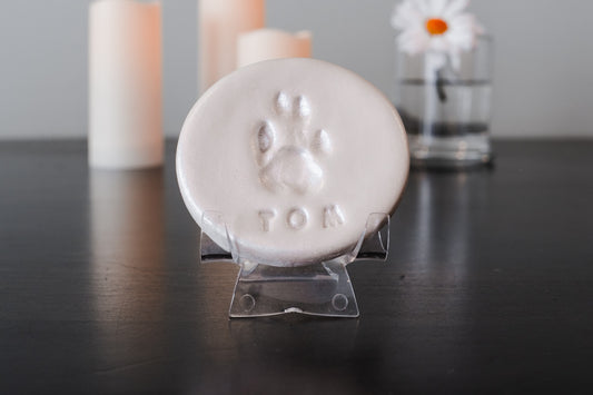 Clay Paw Impression